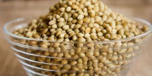 Coriander Seeds
