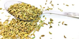 Fennel Seeds