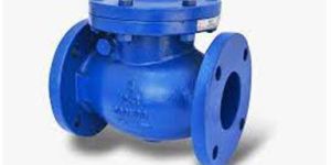 Swing Check Valve