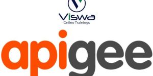 Apigee Professional Certification Training