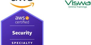 Best Aws Cloud Security Specialty Online Training