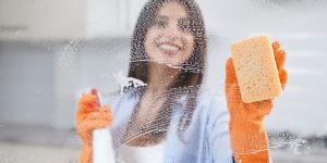 Liquid Glass Cleaner