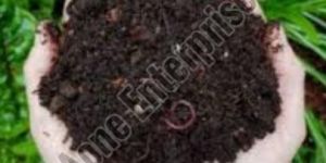 Cow Dung Organic Fertilizer Manure