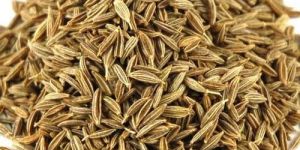 Brown Cumin Seeds