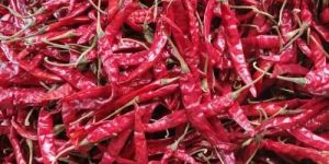 Dry Red Chilli