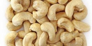 W240 Cashew Nuts