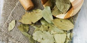 Bay Leaves