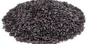 Black Rice