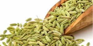 Fennel Seeds
