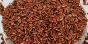Flax Seeds