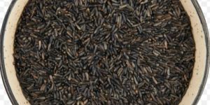 Niger Seeds