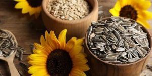 Sunflower Seeds