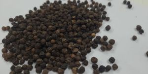 Black Pepper Seed