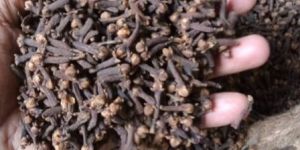 Dry Cloves