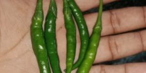Green Chilli