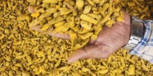 Tukri Turmeric Finger