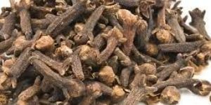 Cloves Spice