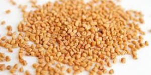 Natural Organic Fenugreek Seeds