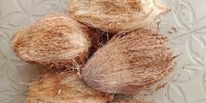 Coconut Husk
