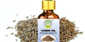 Cumin Oil