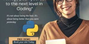 Python Training Service