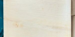 10 Square Areca Plate