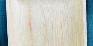 7 Square Areca Plate