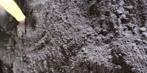 Vermicompost Fertilizer