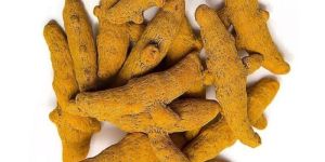Dry Finger Turmeric