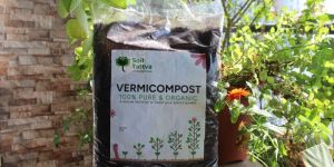 Vermicompost Fertilizer