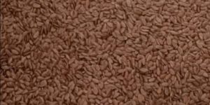 Flax Seeds
