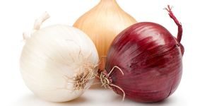 Fresh Onion