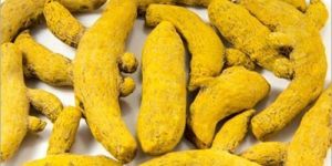 Turmeric Finger