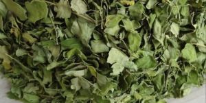 Organic Green Moringa Leaves