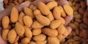Almond Nuts