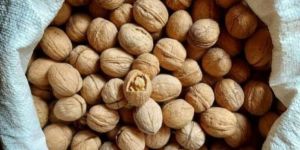 Walnut Kernels