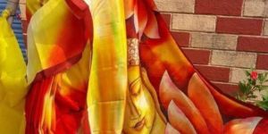 Drishti Handloom Silk Sarees