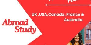 Study Abroad Consultants