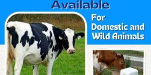 Well Formulated Mineral Salt Lick Block