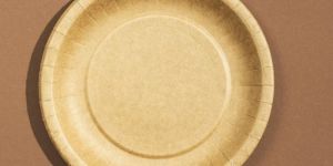 Kraft Paper Plate