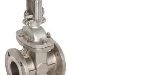 Stainless Steel Gate Valve