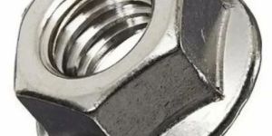 Hexagonal Stainless Steel Flange Nut
