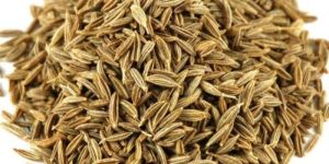 Cumin Seeds