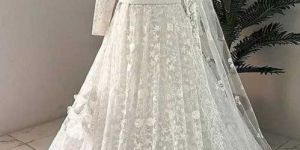 Net Lehenga Choli