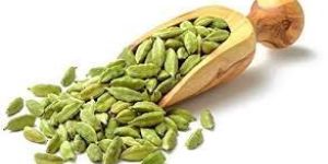 Green Cardamom