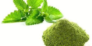 Spray Dried Mint Powder
