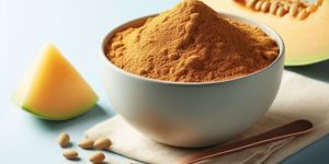 Spray Dried Muskmelon Powder