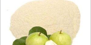 Spray Dried White Guava Powder