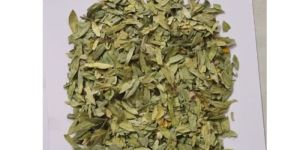 Senna Leaves
