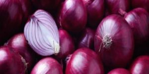 Fresh Red Onion